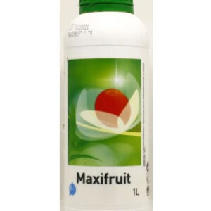 MAXIFRUIT - LT 1