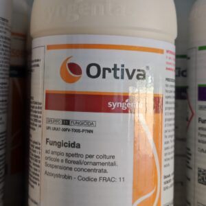 ORTIVA - LT 1