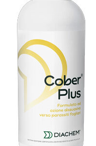 COBER PLUS