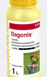 Dagonis