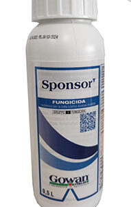 SPONSOR