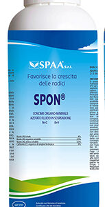 SPON