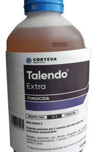 TALENDO EXTRA LT 1