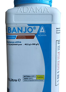 BANJO