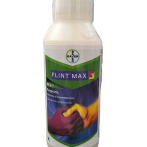 FLINT MAX