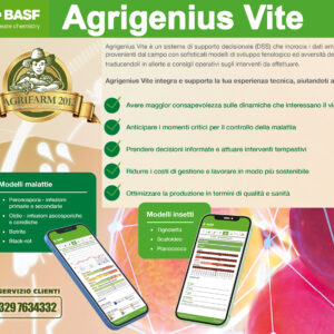 Agrigenius  Vite