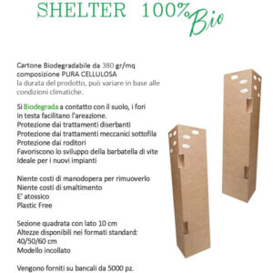 SHELTER