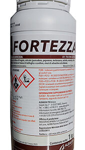 FORTEZZA LT 1