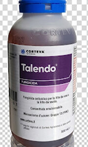 Talendo ML 500